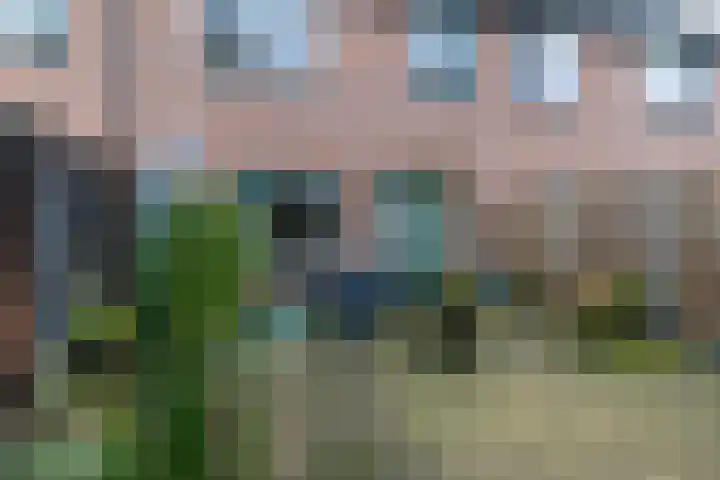 Dwarsakkers 35 Amerongen thumbnail 15