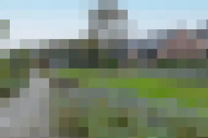 Dwarsakkers 35 Amerongen thumbnail 19