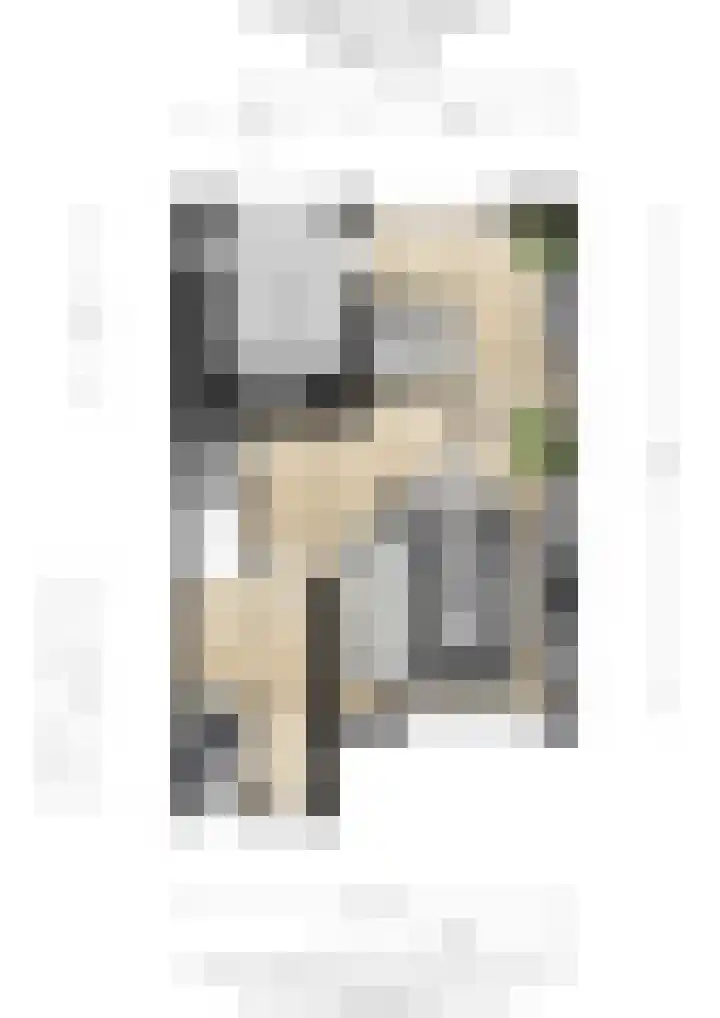 Dwarsakkers 35 Amerongen thumbnail 20