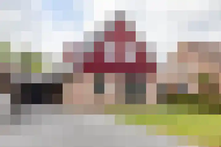 Dwarsakkers 7 en Eext