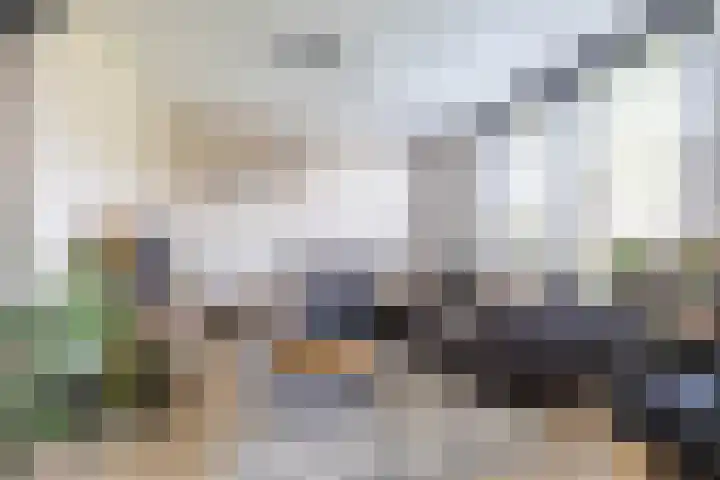 Dwarsakkers 7 Eext thumbnail 13