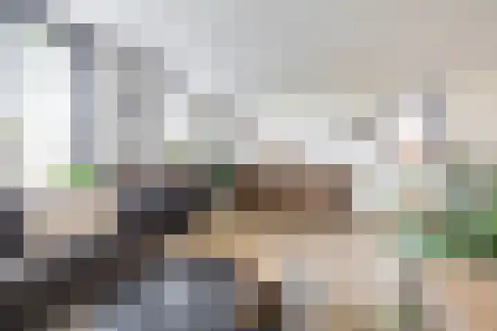 Dwarsakkers 7 Eext thumbnail 14