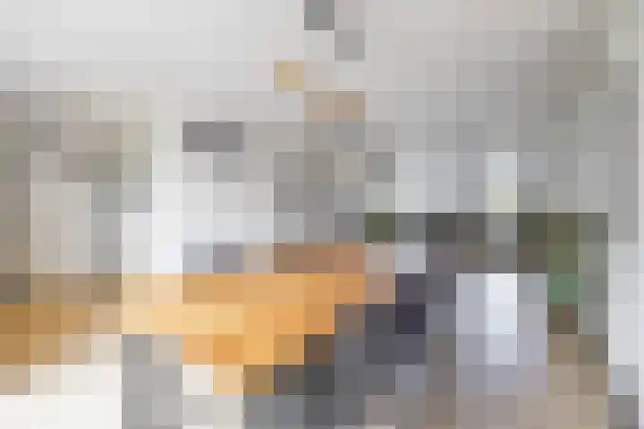 Dwarsakkers 7 Eext thumbnail 18