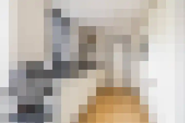 Dwarsakkers 7 Eext thumbnail 19