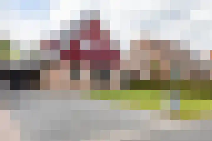 Dwarsakkers 7 Eext foto 2