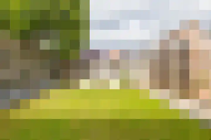Dwarsakkers 7 Eext thumbnail 29