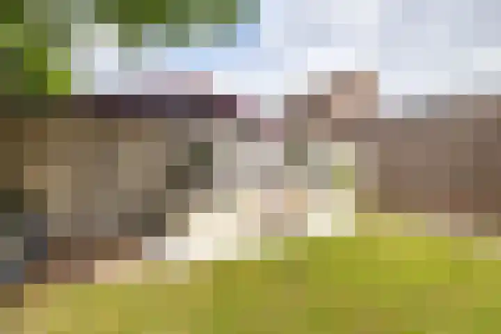 Dwarsakkers 7 Eext thumbnail 31