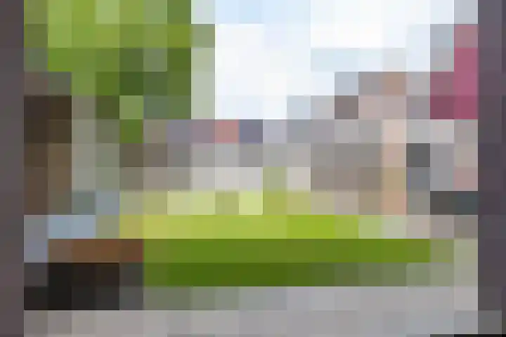 Dwarsakkers 7 Eext thumbnail 34