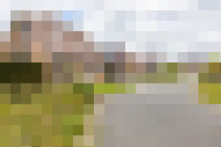 Dwarsakkers 7 Eext thumbnail 57