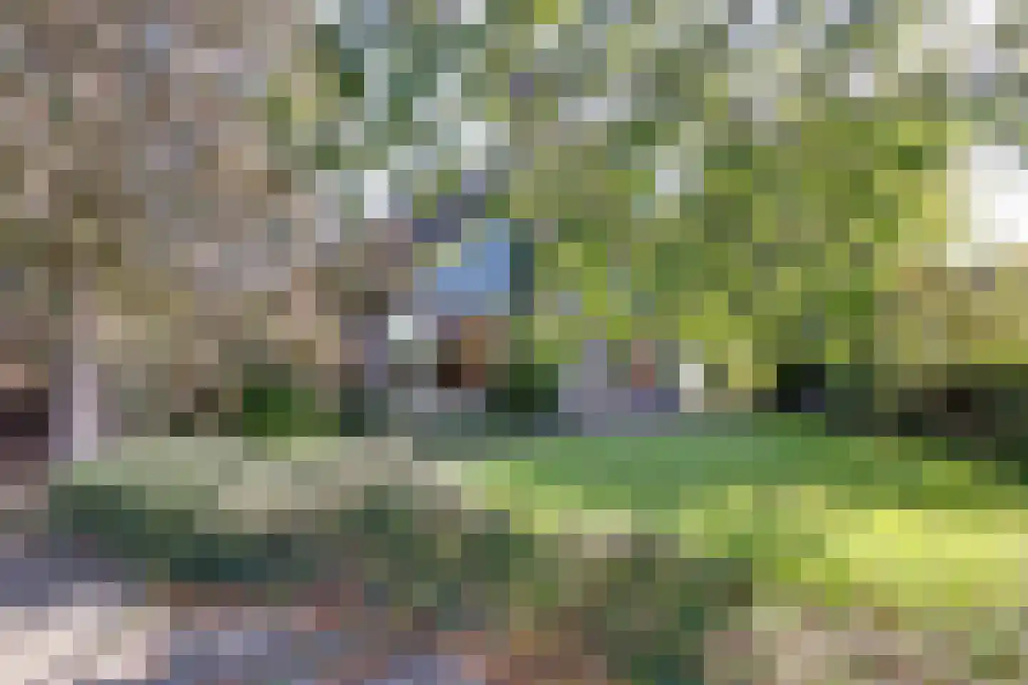 Dwarsakkers 9 Wijster thumbnail 4
