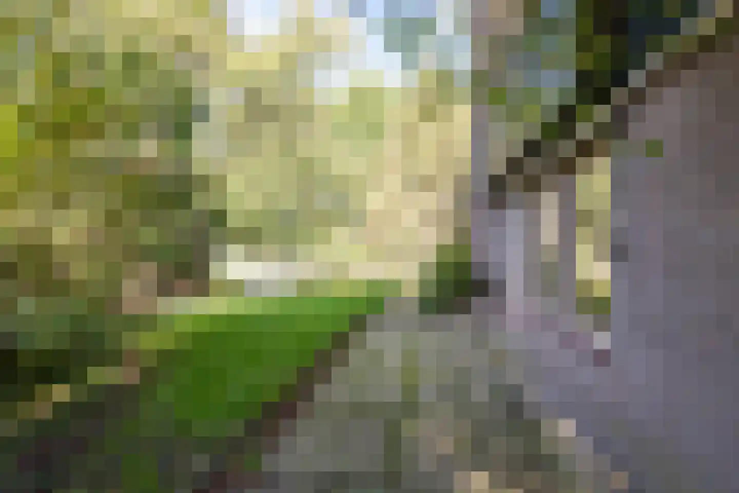 Dwarsakkers 9 Wijster thumbnail 41
