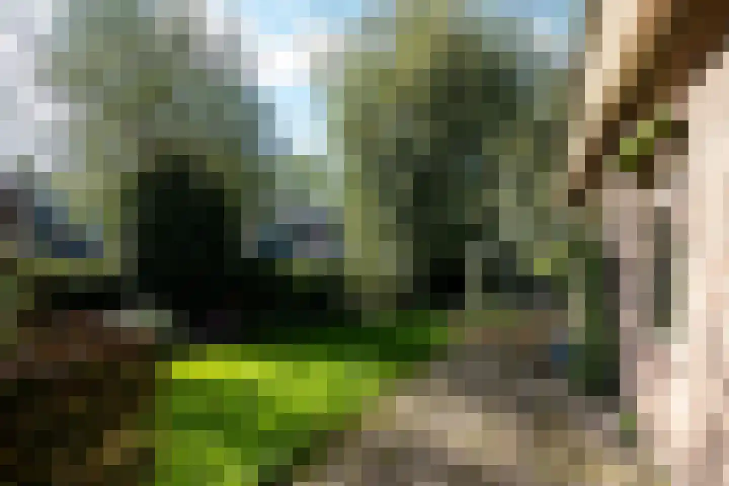 Dwarsakkers 9 Wijster thumbnail 42