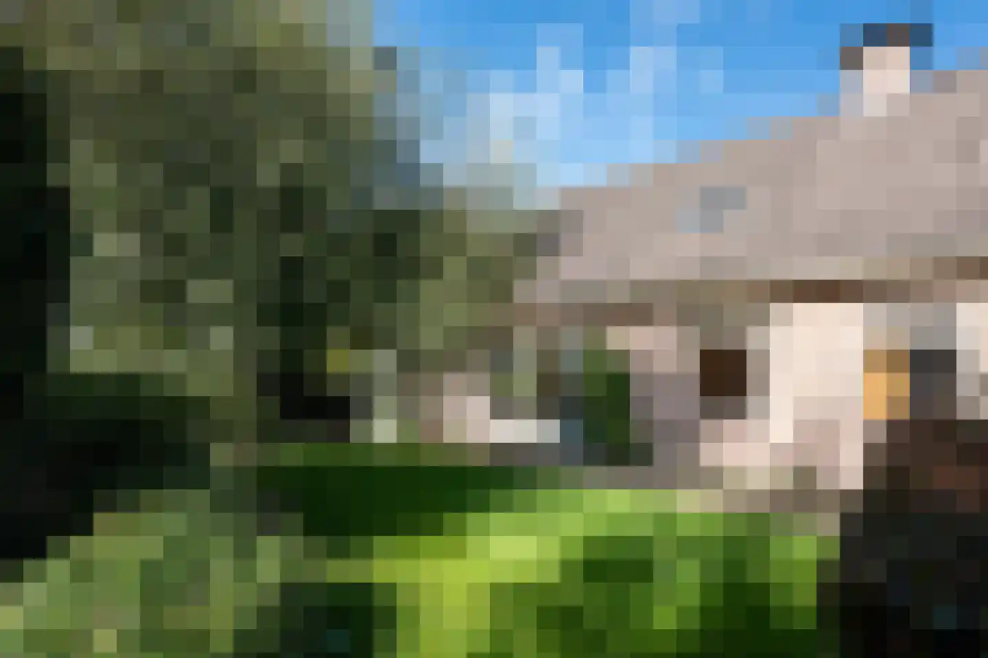 Dwarsakkers 9 Wijster thumbnail 43