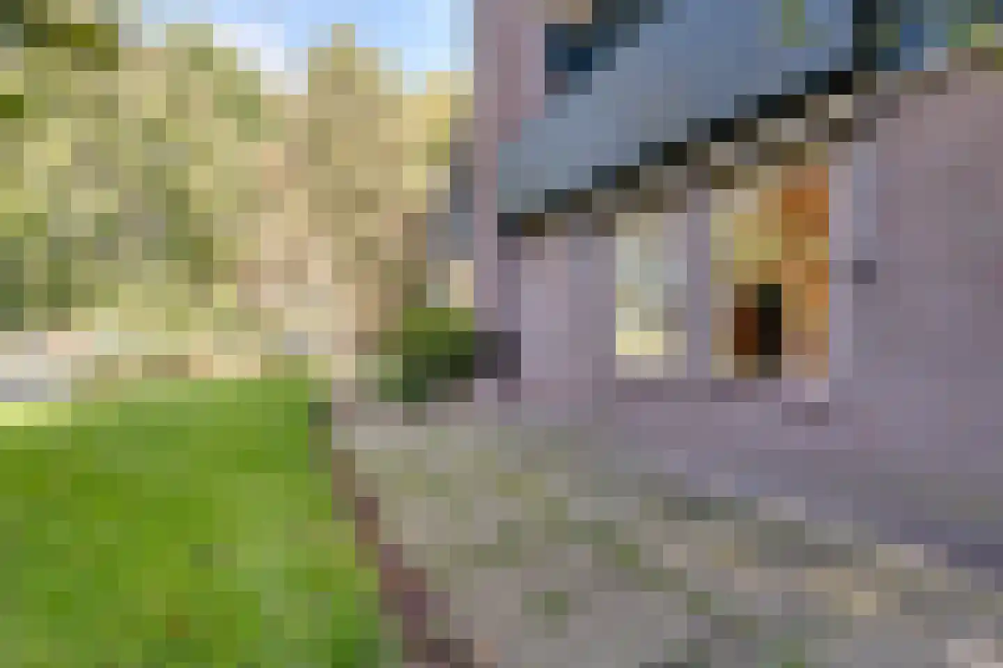 Dwarsakkers 9 Wijster thumbnail 44