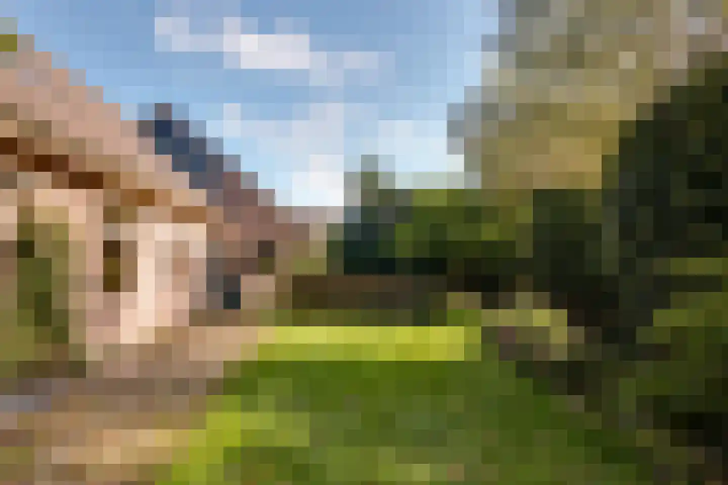 Dwarsakkers 9 Wijster thumbnail 45