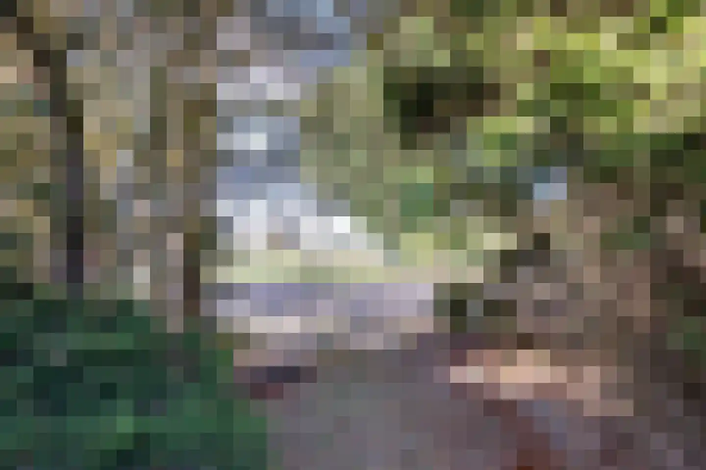 Dwarsakkers 9 Wijster thumbnail 46