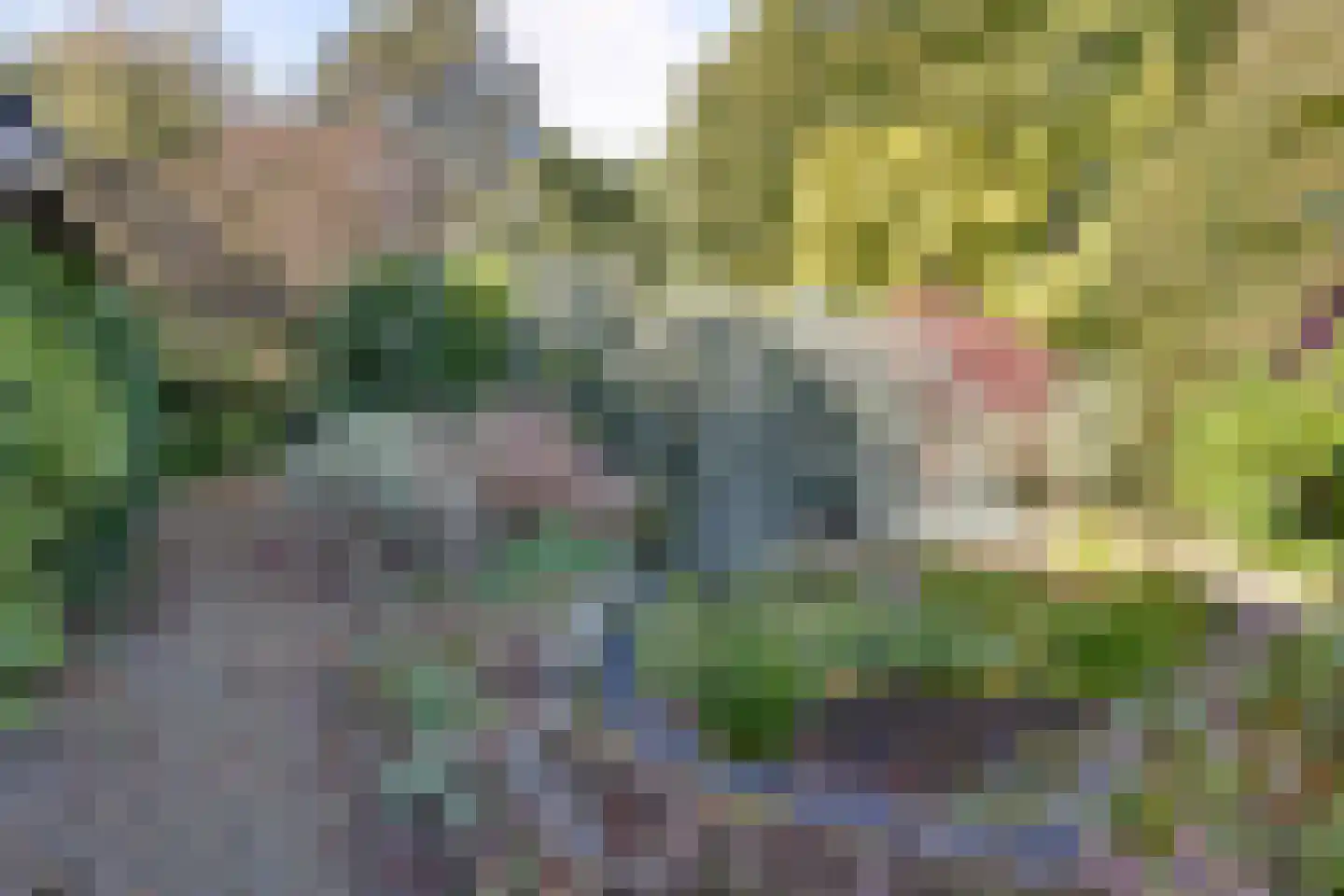 Dwarsakkers 9 Wijster thumbnail 48
