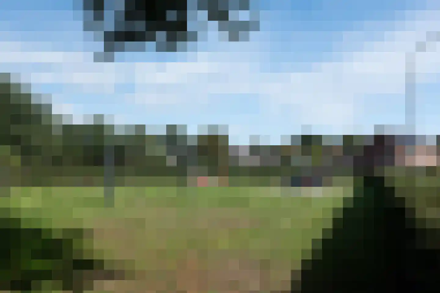 Dwarsakkers 9 Wijster thumbnail 49