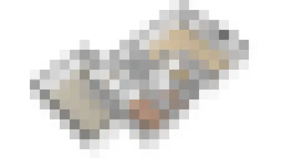 Dwarsakkers 9 Wijster thumbnail 51