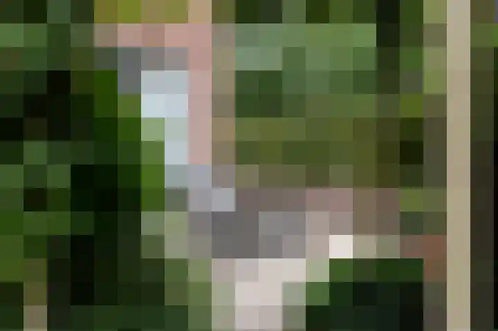 Dwarsbree 1 Assen thumbnail 25