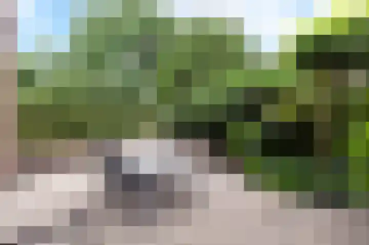 Dwarsbree 1 Assen thumbnail 26