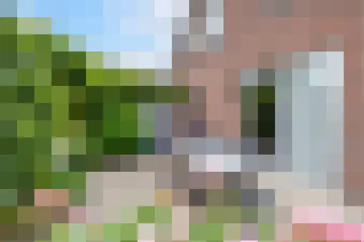 Dwarsbree 1 Assen thumbnail 27
