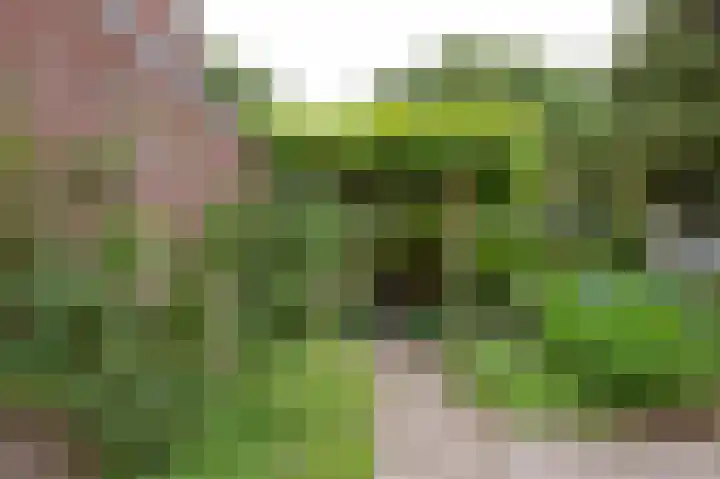 Dwarsbree 1 Assen thumbnail 29