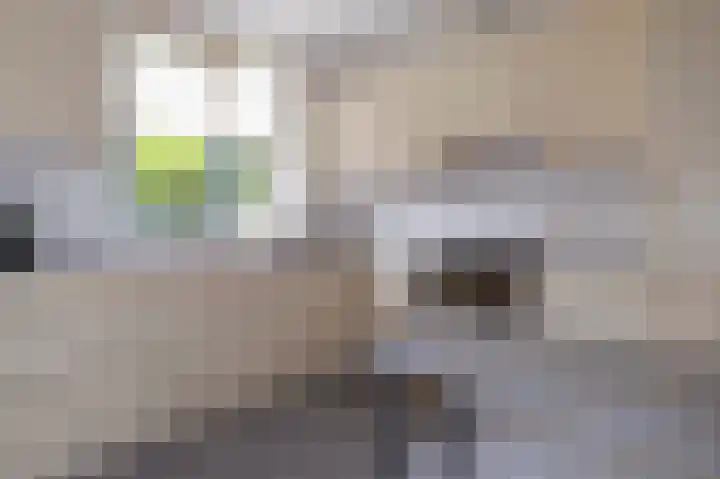 Dwarsbree 1 Assen thumbnail 9