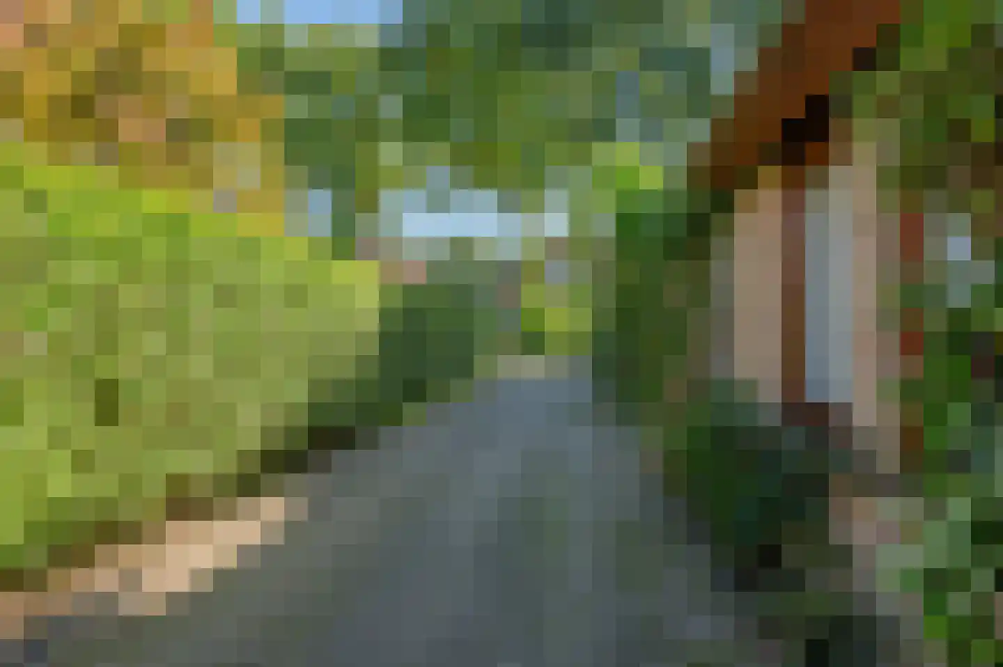 Dwarsbree 7 Assen thumbnail 36