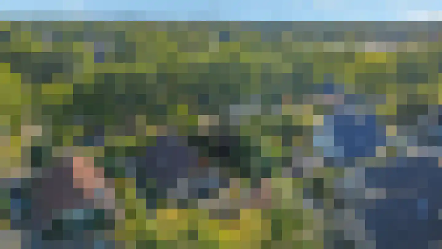 Dwarsbree 7 Assen thumbnail 54