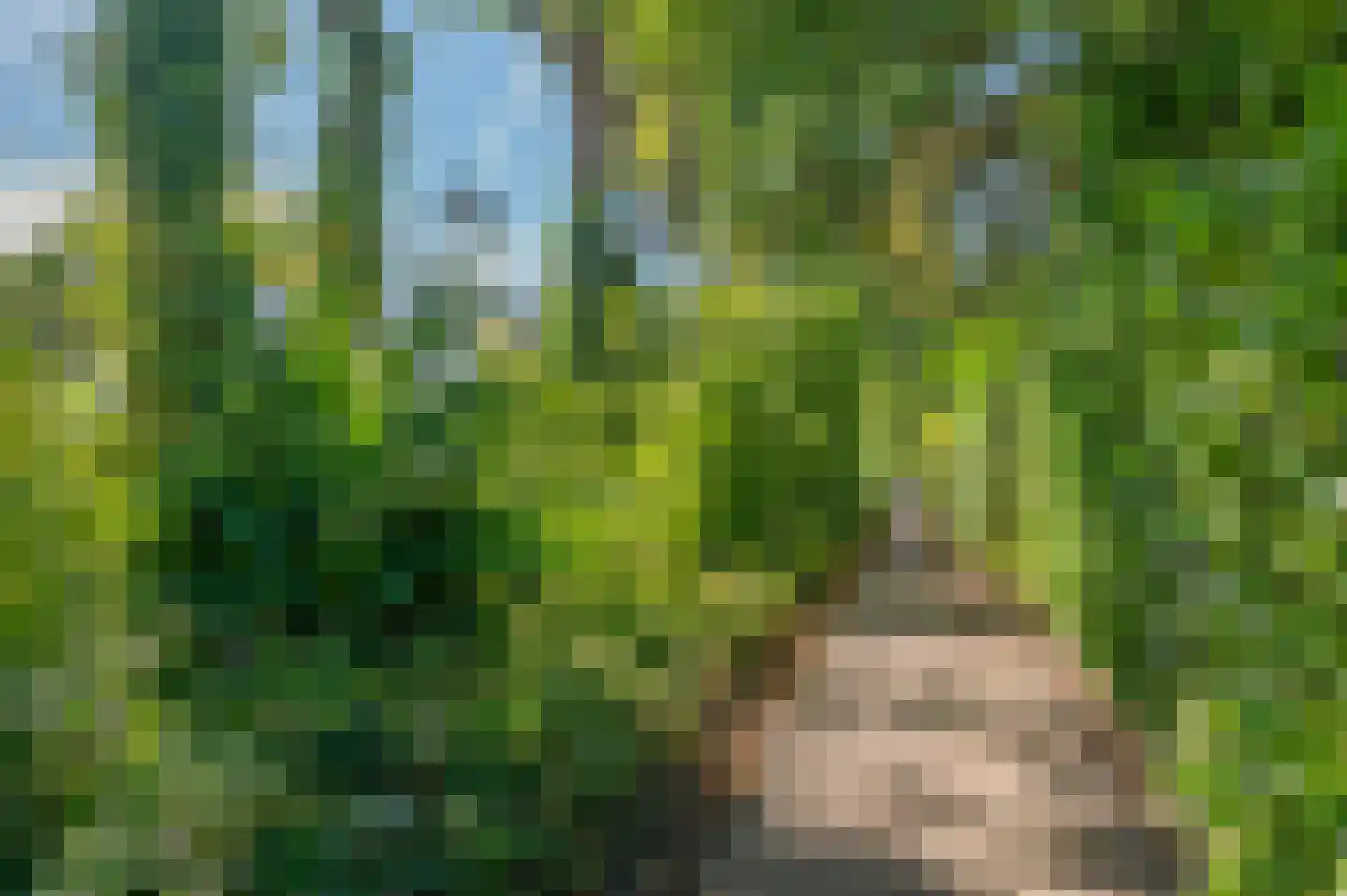 Dwarsbree 7 Assen thumbnail 57