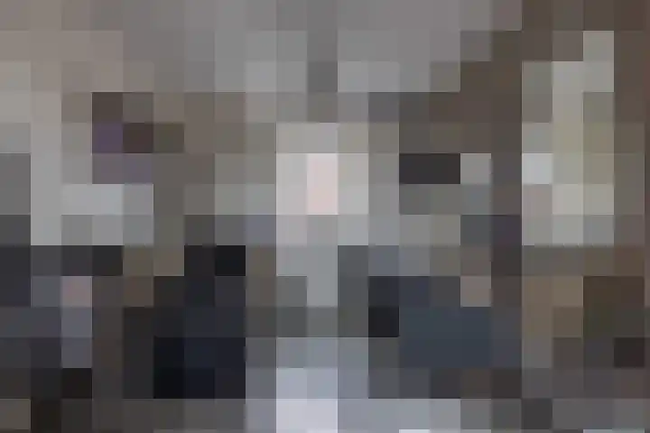Dwarsdiep 17 Oldekerk thumbnail 19