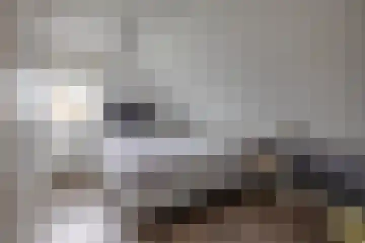 Dwarsdiep 17 Oldekerk thumbnail 22