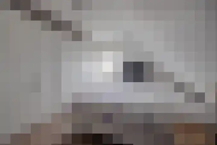 Dwarsdiep 17 Oldekerk thumbnail 23