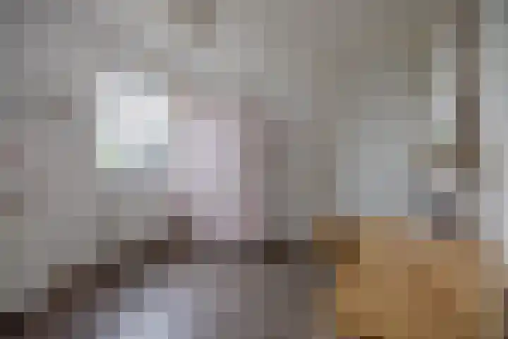 Dwarsdiep 17 Oldekerk thumbnail 28