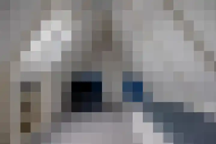 Dwarsdiep 17 Oldekerk thumbnail 38