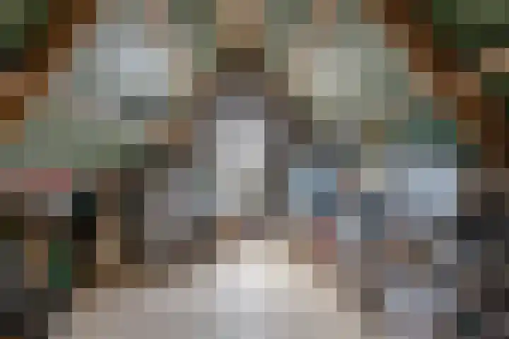 Dwarsdiep 17 Oldekerk thumbnail 44