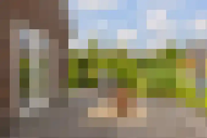 Dwarsdiep 17 Oldekerk thumbnail 45
