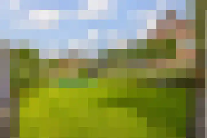 Dwarsdiep 17 Oldekerk thumbnail 46