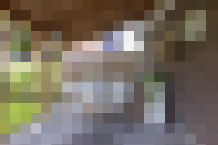 Dwarsdiep 17 Oldekerk thumbnail 47