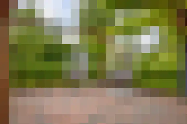 Dwarsdiep 17 Oldekerk thumbnail 49