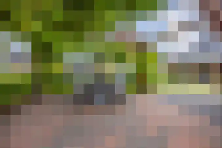 Dwarsdiep 17 Oldekerk thumbnail 50