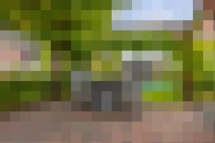 Dwarsdiep 17 Oldekerk thumbnail 51