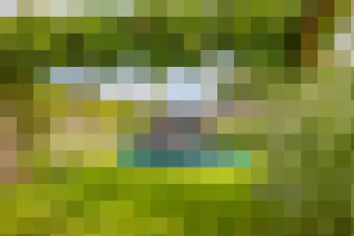 Dwarsdiep 17 Oldekerk thumbnail 52