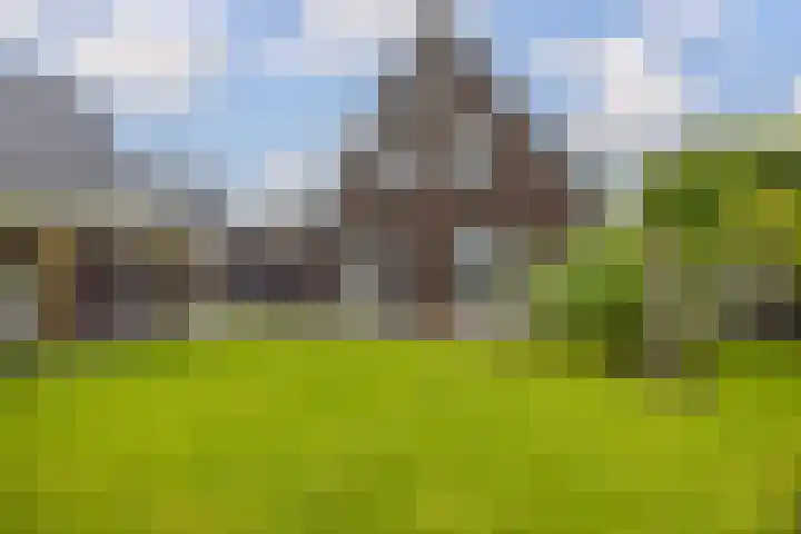 Dwarsdiep 17 Oldekerk thumbnail 54