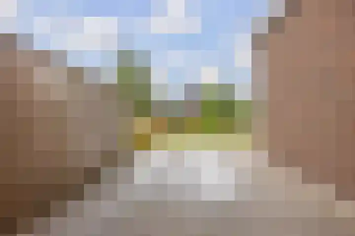 Dwarsdiep 17 Oldekerk thumbnail 55