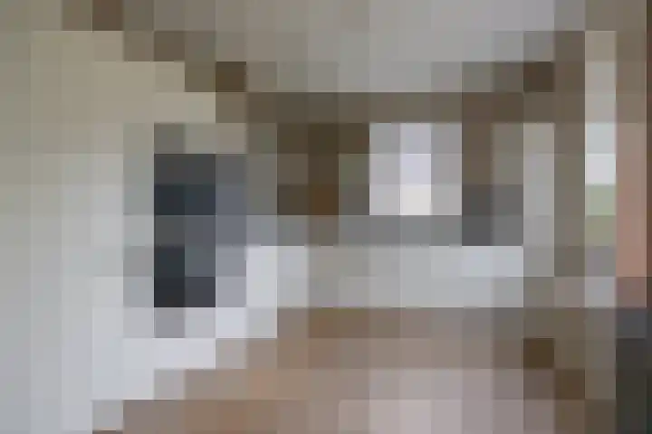 Dwarsdiep 17 Oldekerk thumbnail 6