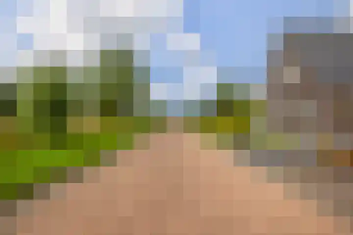 Dwarsdiep 17 Oldekerk thumbnail 60