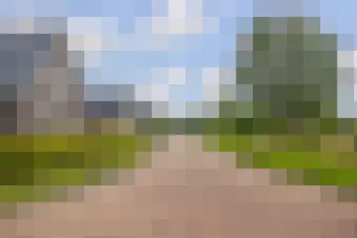 Dwarsdiep 17 Oldekerk thumbnail 62