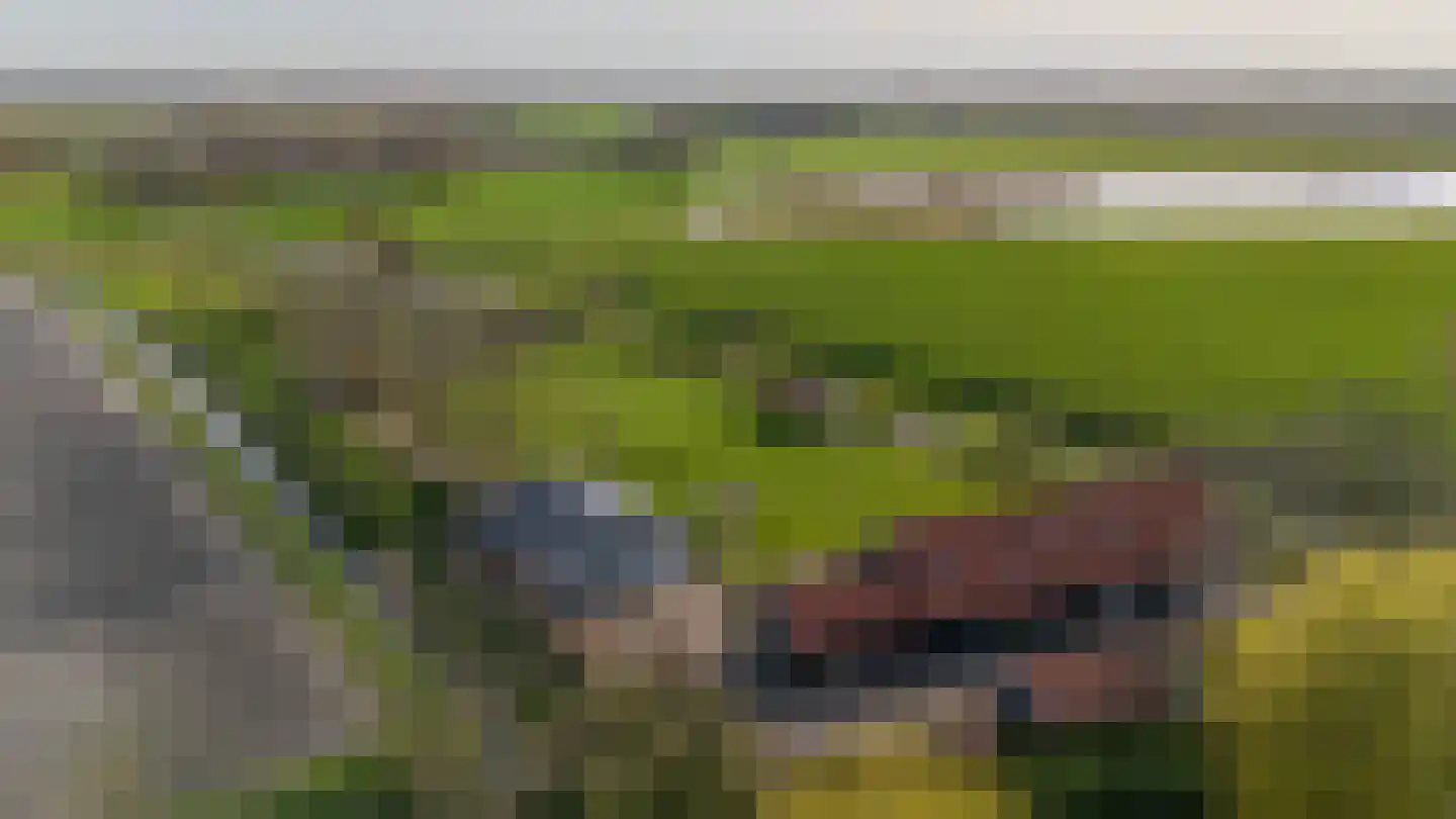 Dwarsdijk 1 Rockanje thumbnail 5